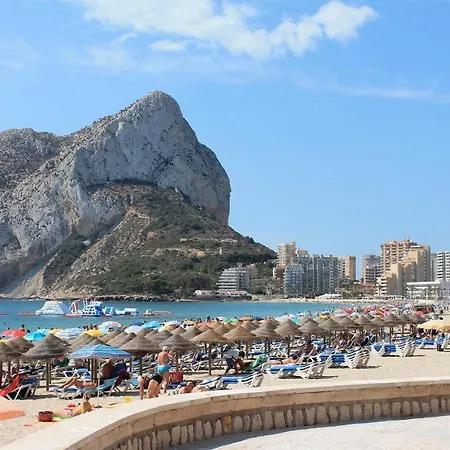 Ambar 18d Calp